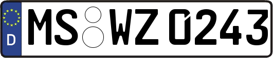 MS-WZ0243