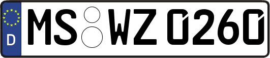 MS-WZ0260