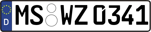 MS-WZ0341