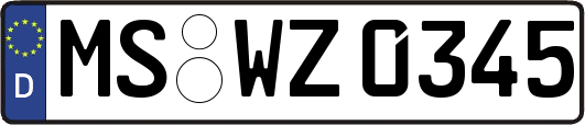 MS-WZ0345
