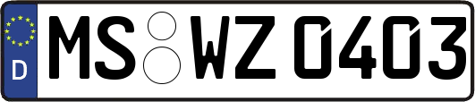 MS-WZ0403