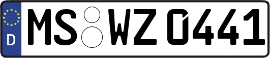 MS-WZ0441
