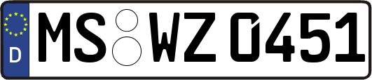 MS-WZ0451
