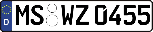 MS-WZ0455