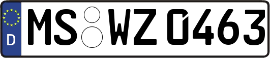 MS-WZ0463