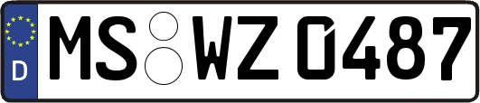 MS-WZ0487