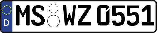 MS-WZ0551