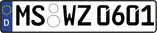 MS-WZ0601