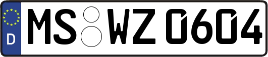 MS-WZ0604