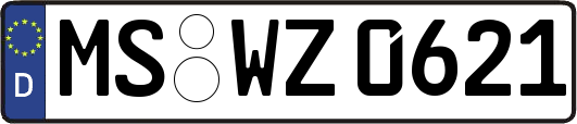 MS-WZ0621