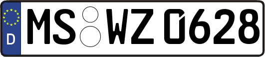 MS-WZ0628