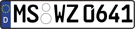 MS-WZ0641
