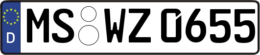 MS-WZ0655
