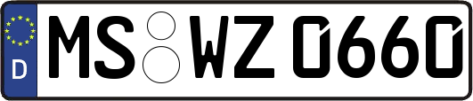 MS-WZ0660