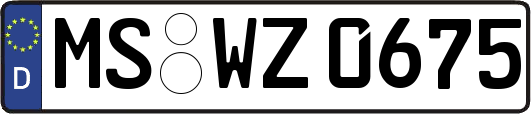 MS-WZ0675