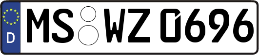 MS-WZ0696