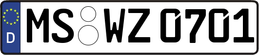 MS-WZ0701