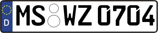 MS-WZ0704