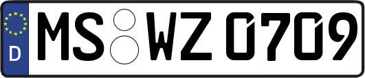 MS-WZ0709