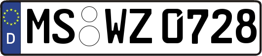 MS-WZ0728