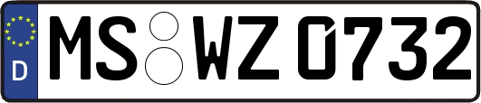MS-WZ0732