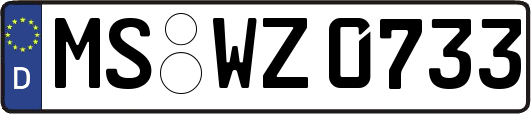 MS-WZ0733
