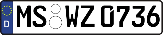 MS-WZ0736