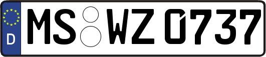 MS-WZ0737