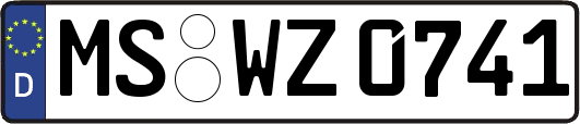 MS-WZ0741