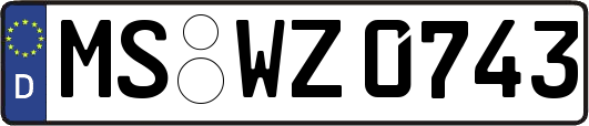 MS-WZ0743