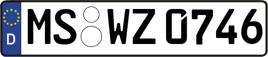 MS-WZ0746