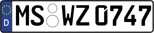 MS-WZ0747