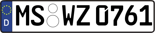 MS-WZ0761