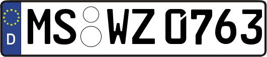 MS-WZ0763