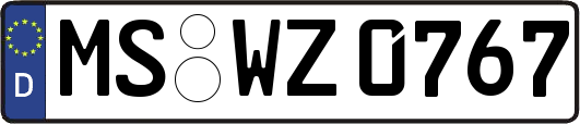MS-WZ0767