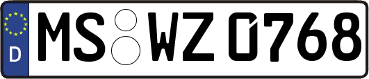 MS-WZ0768