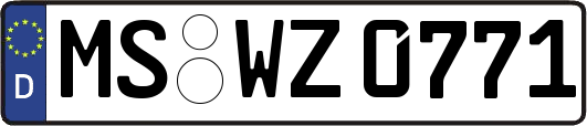 MS-WZ0771