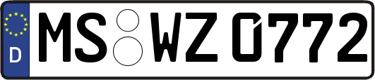 MS-WZ0772