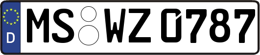 MS-WZ0787