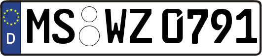 MS-WZ0791