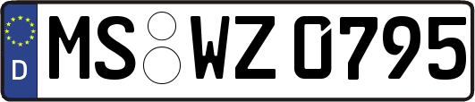 MS-WZ0795
