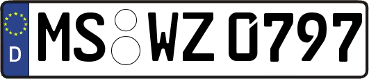 MS-WZ0797