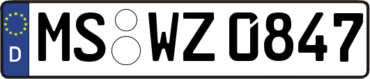 MS-WZ0847