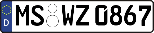 MS-WZ0867
