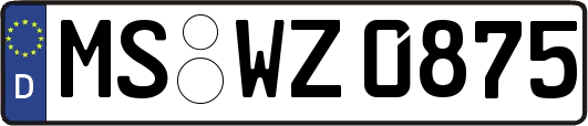 MS-WZ0875