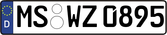 MS-WZ0895