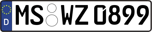 MS-WZ0899