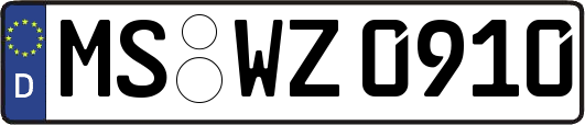 MS-WZ0910