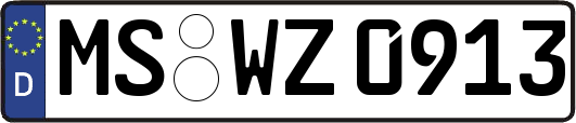MS-WZ0913