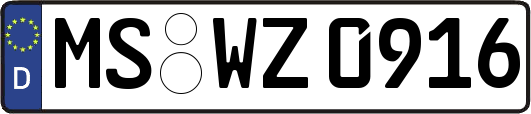 MS-WZ0916